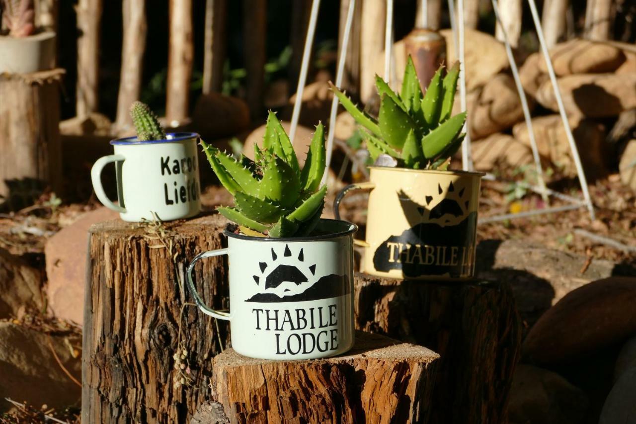 Thabile Lodge オーツホーン エクステリア 写真