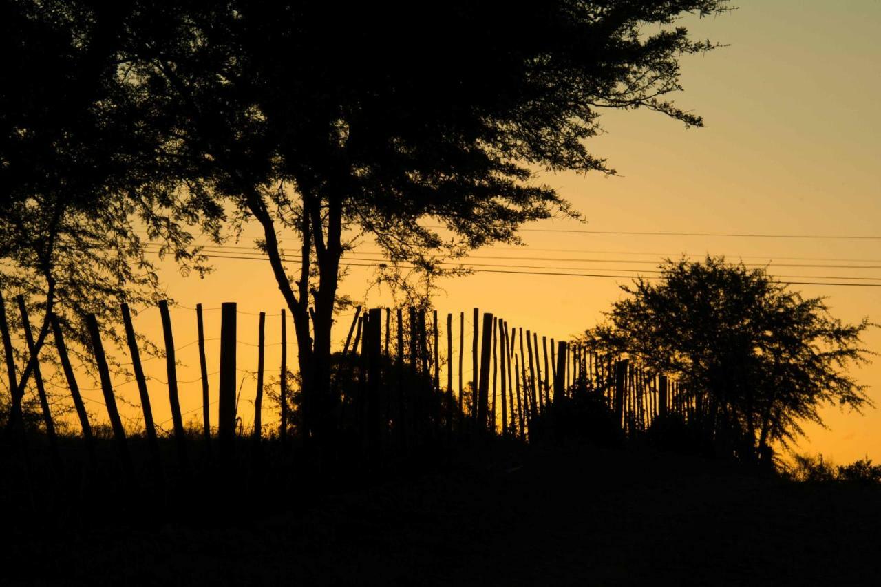 Thabile Lodge オーツホーン エクステリア 写真